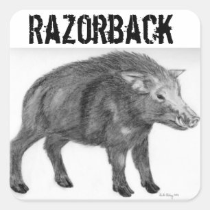 Wild Boar, defensieve Stance Vierkante Sticker