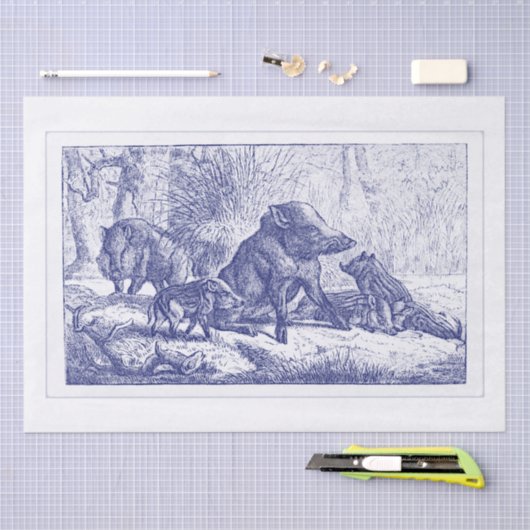 Wild Boar Family Tekening Blue Tissuepapier (Craft)