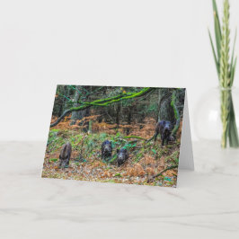 Wild Boar Kaart