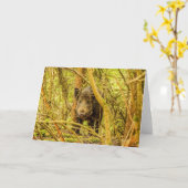 Wild Boar Kaart (Gele Bloem)