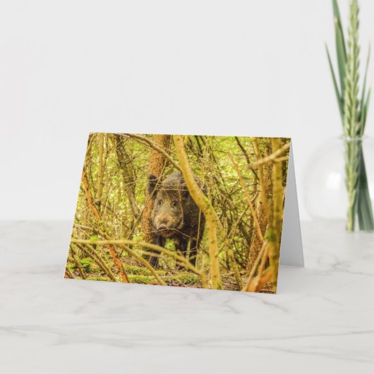 Wild Boar Kaart (Voorkant)