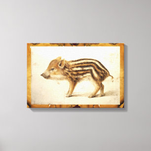 WILD BOAR PIGLET Animal Drawing Canvas Afdruk