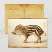 WILD BOAR PIGLET Antiek dierenbeschermingsteken Briefkaart (Voorkant / Achterkant)