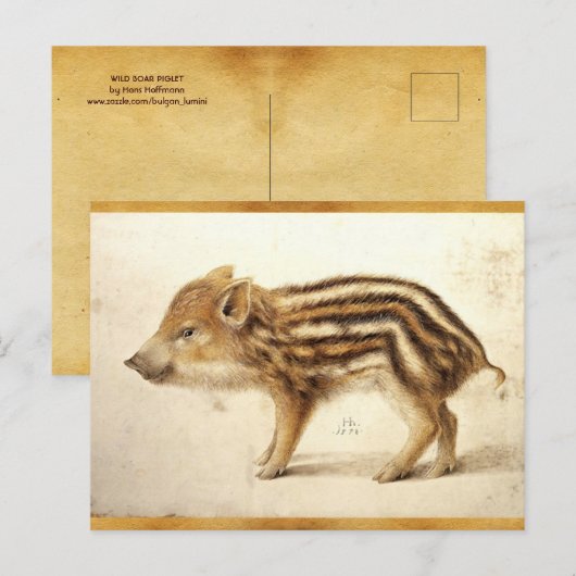 WILD BOAR PIGLET Antiek dierenbeschermingsteken Briefkaart (Voorkant / Achterkant)