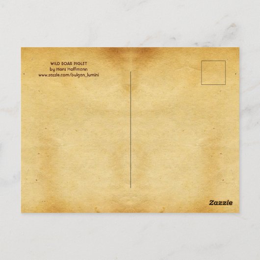 WILD BOAR PIGLET Antiek dierenbeschermingsteken Briefkaart (Achterkant)