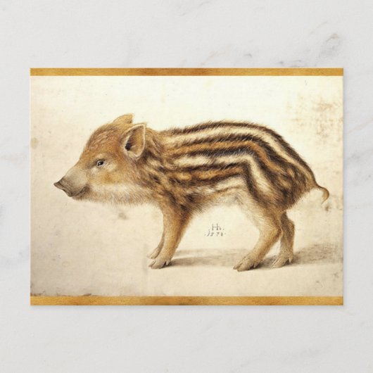 WILD BOAR PIGLET Antiek dierenbeschermingsteken Briefkaart (Voorkant)