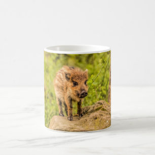 Wild Boar Piglet Koffiemok