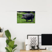 Wild Boar Poster (Thuiskantoor)