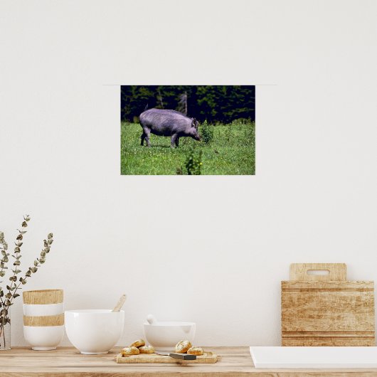 Wild Boar Poster (Keuken)