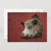 Wild Boar Trophy Briefkaart (Voorkant / Achterkant)
