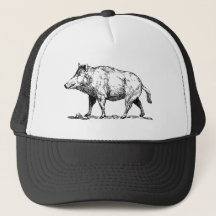 Wild Boar/Wildschwein