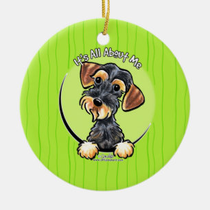 Wild Boar Wirehaed Dachshund IAAM Keramisch Ornament