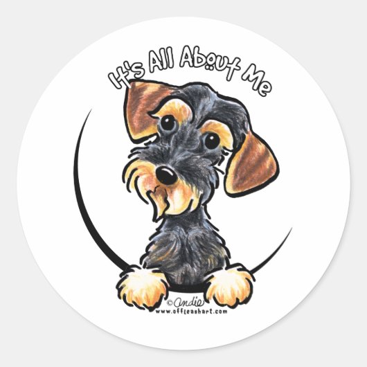Wild Boar Wirehaered Dachshund heeft alles over mi Ronde Sticker (Voorkant)