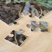 Wild Bobcat Kitten Legpuzzel (Zijkant)