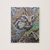 Wild Bobcat Kitten Legpuzzel (Verticaal)
