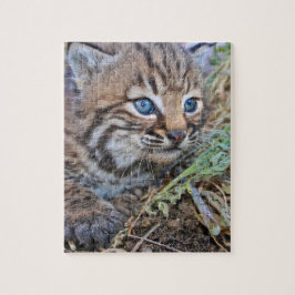 Wild Bobcat Kitten Legpuzzel