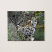 Wild Bobcat Legpuzzel (Horizontaal)
