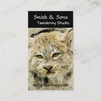 Wild Bobcat Taxidermy Fotografische Kunst Visitekaartje
