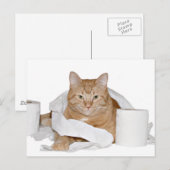 wild briefkaart (Voorkant / Achterkant)