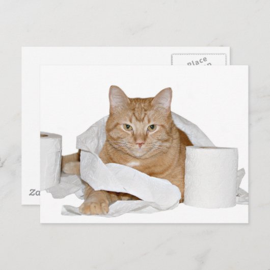 wild briefkaart (Voorkant / Achterkant)