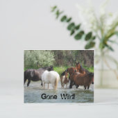 wild briefkaart (Staand voorkant)