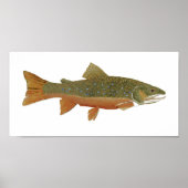Wild Brook Trout Poster (Voorkant)