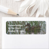 Wild Brown Duck in Pond Natuur Address Etiket (Insitu)