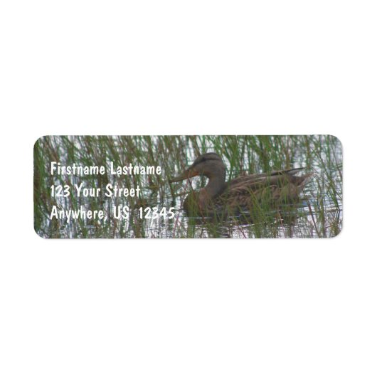 Wild Brown Duck in Pond Natuur Address Etiket (Voorkant)