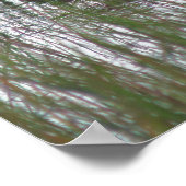 Wild Brown Duck in Pond Natuur Poster (Hoek)