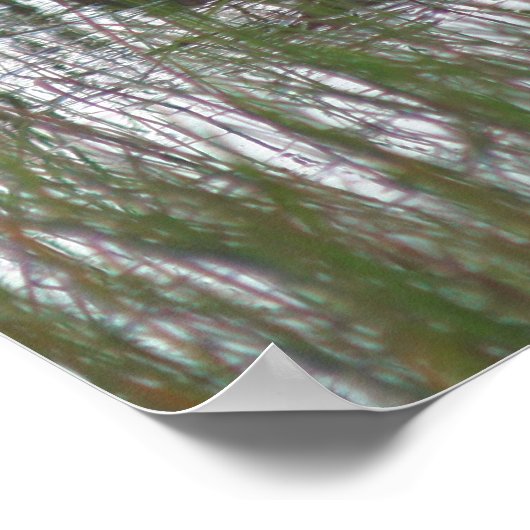 Wild Brown Duck in Pond Natuur Poster (Hoek)