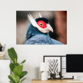 Wild Brown Eared Pheasant Poster (Thuiskantoor)