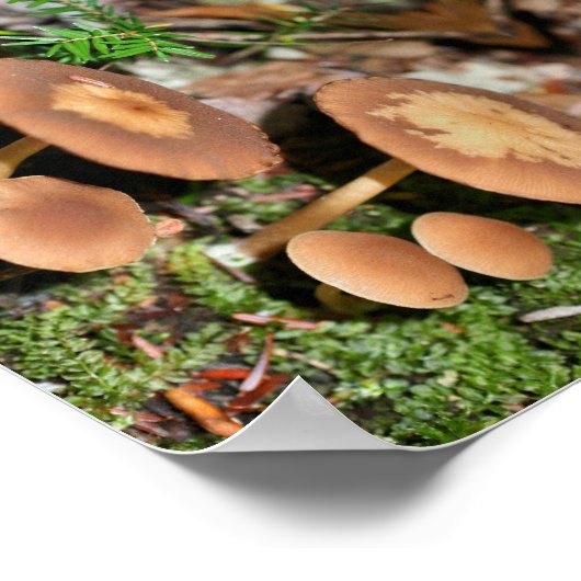 Wild Brown padroom Cluster Abstract Poster (Hoek)