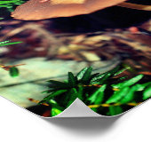 Wild Brown padroom Cluster Poster (Hoek)