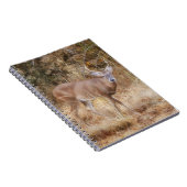 Wild Buck Deer in een Herfst Meadow Journal Notiti Notitieboek (Rechterzijde)