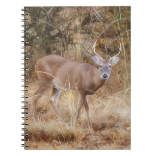 Wild Buck Deer in een Herfst Meadow Journal Notiti Notitieboek