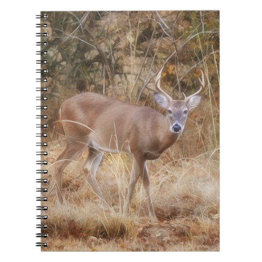 Wild Buck Deer in een Herfst Meadow Journal Notiti Notitieboek (Voorkant)