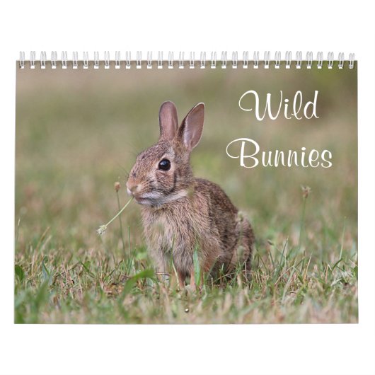 Wild Bunnies Kalender (Hoes)
