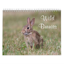 Wild Bunnies Kalender