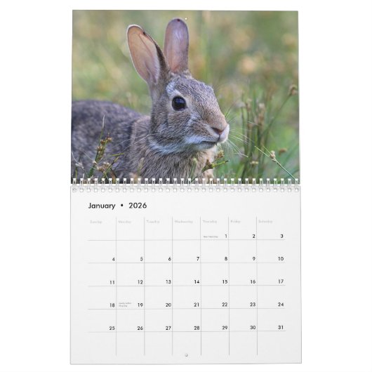 Wild Bunnies Kalender (Jan 2026)