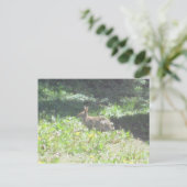Wild Bunny Briefkaart (Staand voorkant)