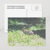 Wild Bunny Briefkaart (Voorkant / Achterkant)
