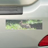 Wild Bunny Bumpersticker (Op auto)