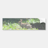 Wild Bunny Bumpersticker (Voorkant)