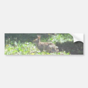 Wild Bunny Bumpersticker