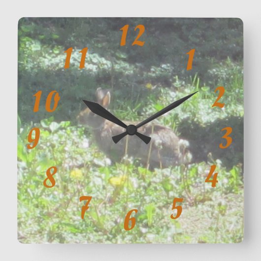 Wild Bunny Clock Vierkante Klok (Voorkant)