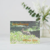 Wild Bunny "Ergens gemist je" Briefkaart (Staand voorkant)