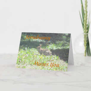 Wild Bunny "Ergens gemist je" Kaart