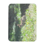 Wild Bunny Flexible Magnet Magneet (Verticaal)