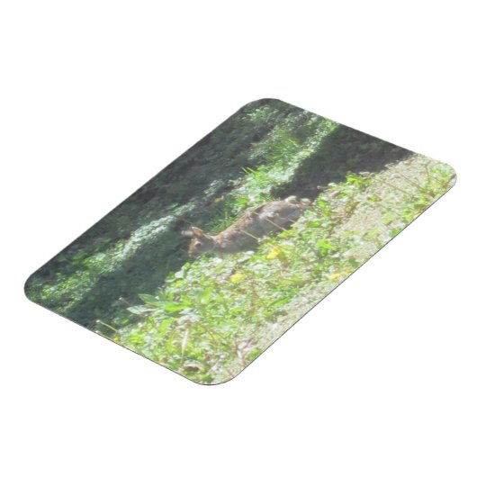 Wild Bunny Flexible Magnet Magneet (Linkerzijde)