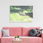 Wild Bunny Foto op Canvas Afdruk (Insitu (Woonkamer))